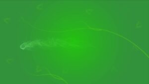 best green background walpepar