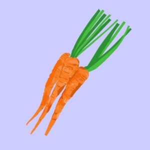 Carrot full vector design