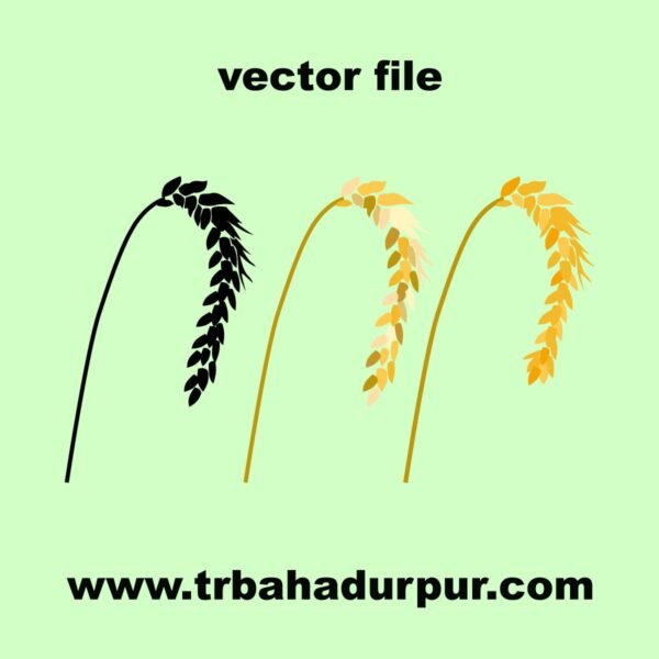 simple wheat vector