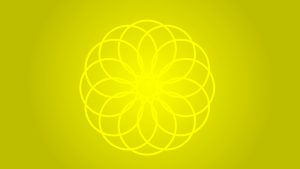 light yellow flower olive background