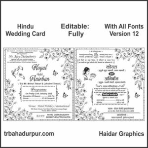 Hindu New Shadi Card Hindi english Matter 2023