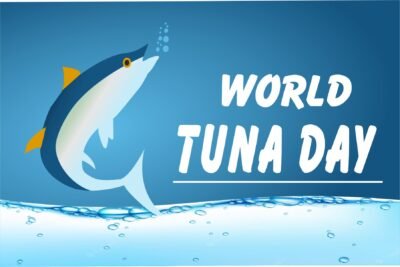world tuna day vector
