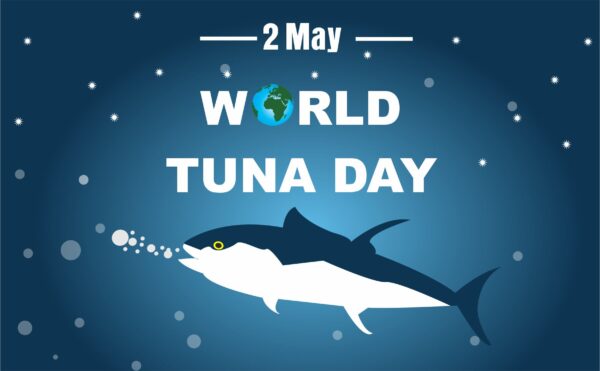 New Design World tuna day vector free download